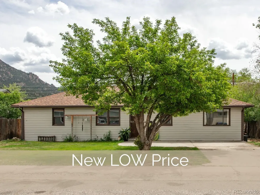 124 Dartmouth Drive Buena Vista CO 81211