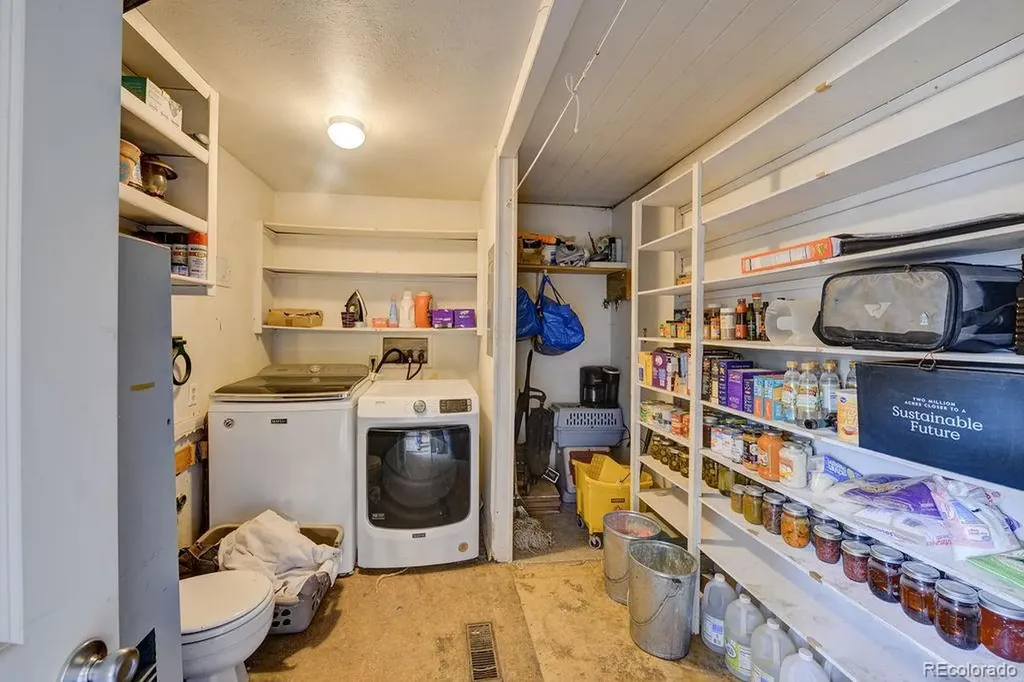 124 Dartmouth Drive Buena Vista CO 81211