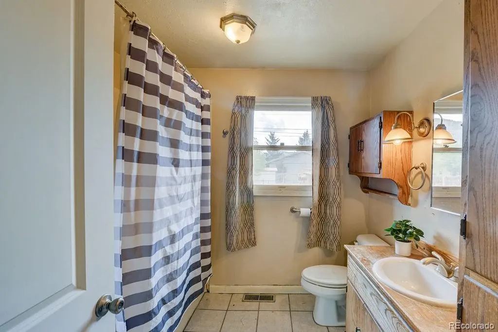 124 Dartmouth Drive Buena Vista CO 81211