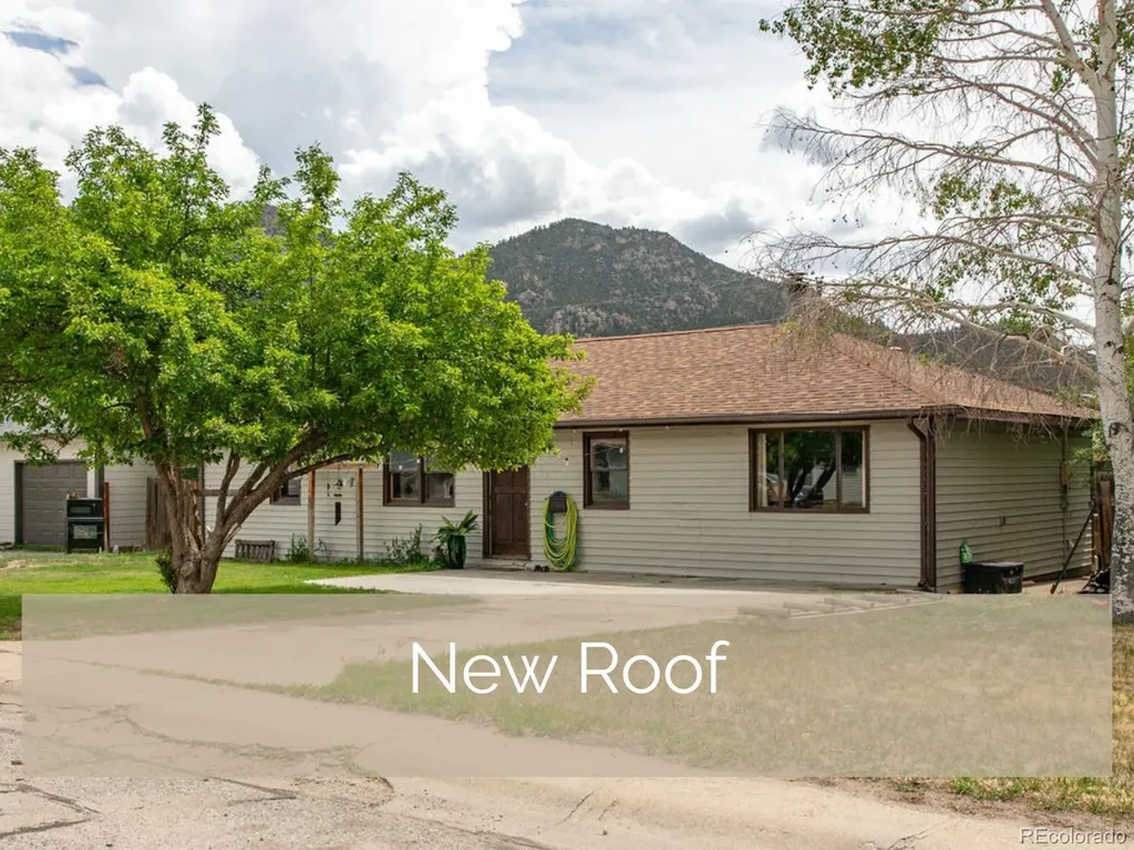124 Dartmouth Drive Buena Vista CO 81211