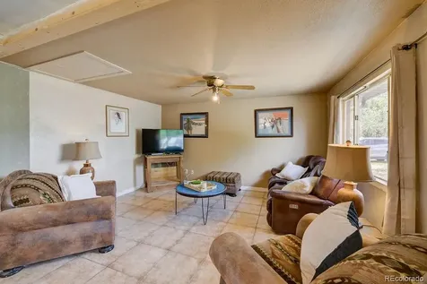 124 Dartmouth Drive Buena Vista CO 81211