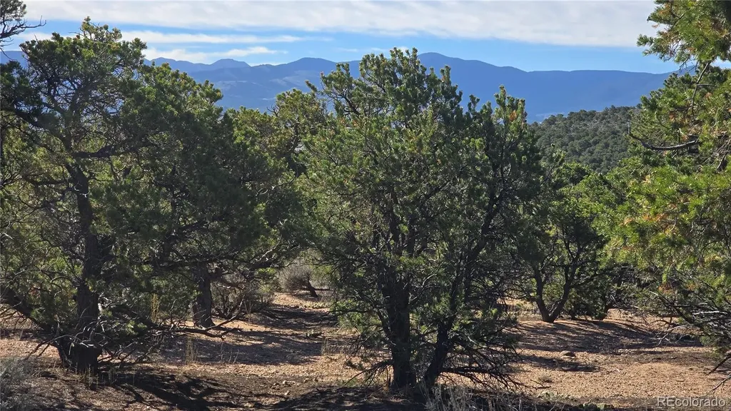 Lot 3873 Shinn Road Fort Garland CO 81133