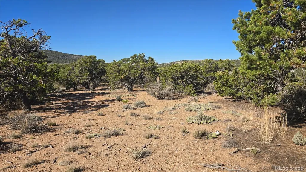 Lot 3873 Shinn Road Fort Garland CO 81133