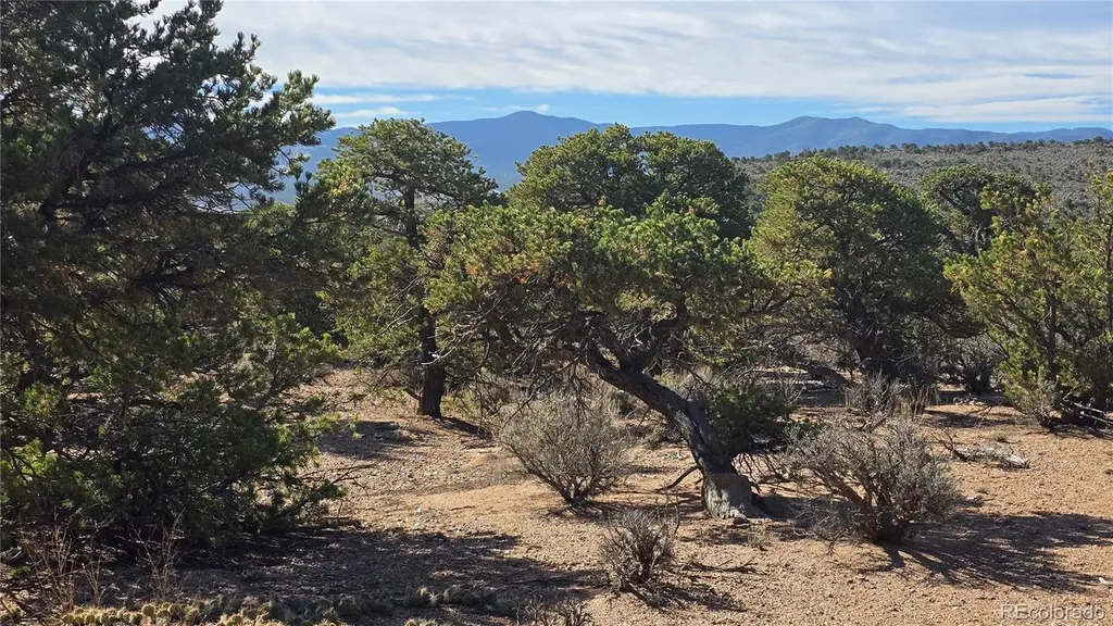 Lot 3873 Shinn Road Fort Garland CO 81133