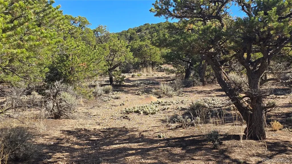 Lot 3873 Shinn Road Fort Garland CO 81133