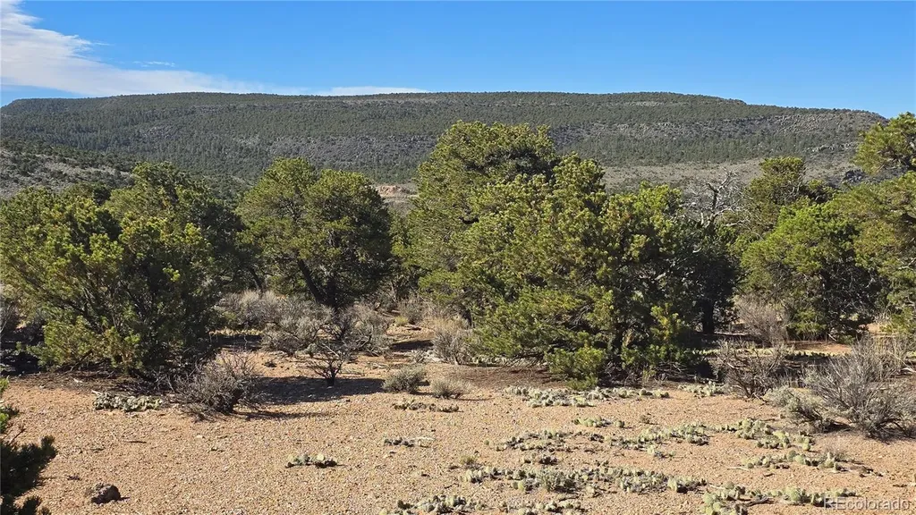 Lot 3873 Shinn Road Fort Garland CO 81133