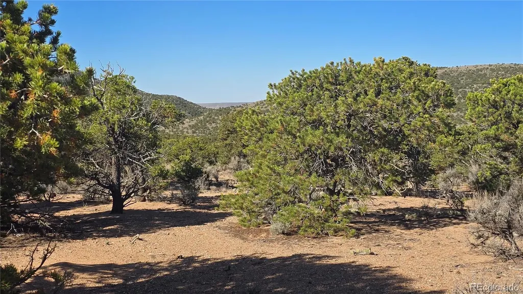 Lot 3873 Shinn Road Fort Garland CO 81133