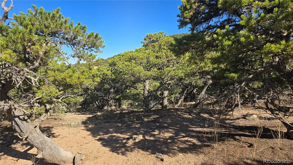 Lot 3873 Shinn Road Fort Garland CO 81133