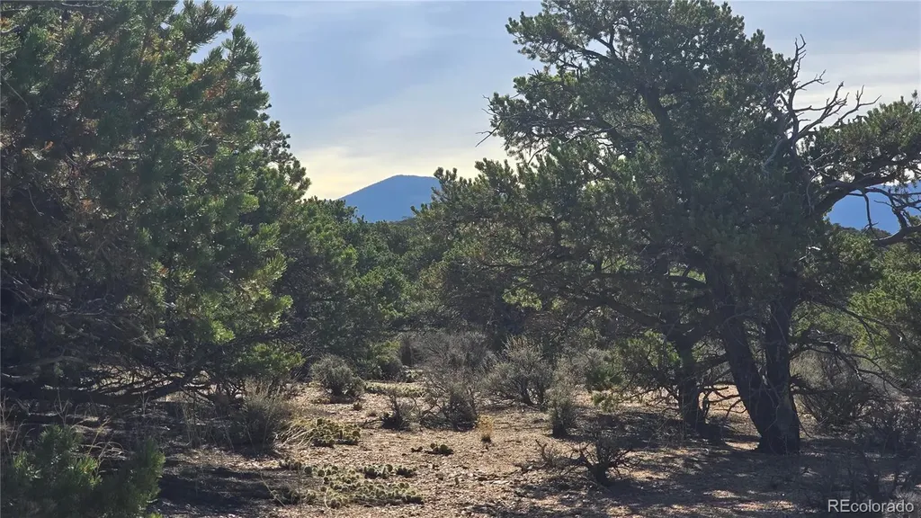 Lot 3873 Shinn Road Fort Garland CO 81133