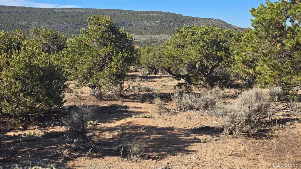 Lot 3873 Shinn Road Fort Garland CO 81133
