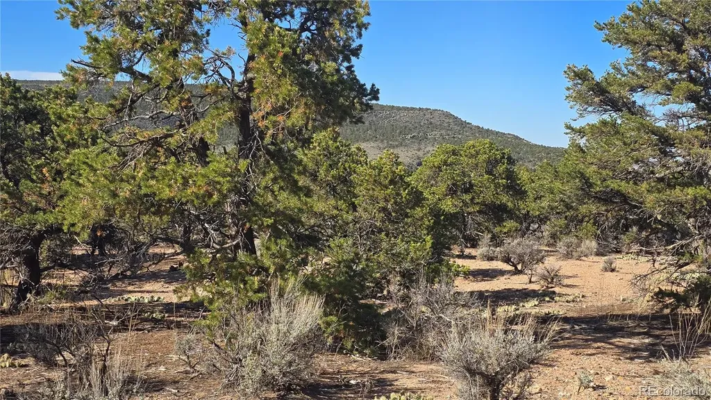 Lot 3873 Shinn Road Fort Garland CO 81133