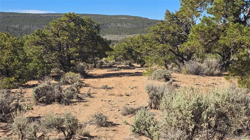 Lot 3873 Shinn Road Fort Garland CO 81133
