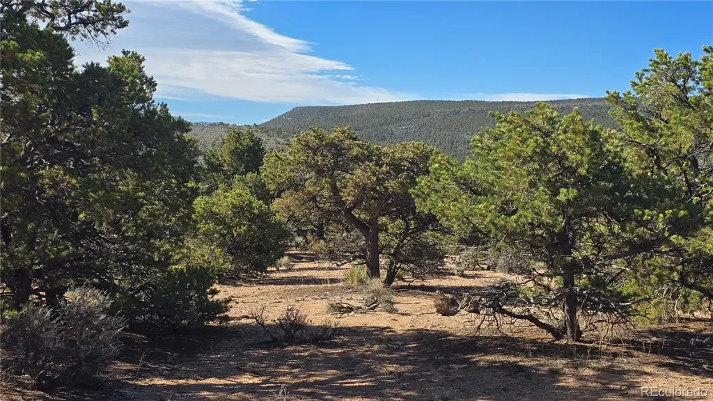 Lot 3873 Shinn Road Fort Garland CO 81133