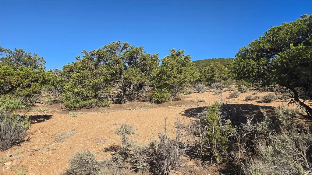 Lot 3873 Shinn Road Fort Garland CO 81133