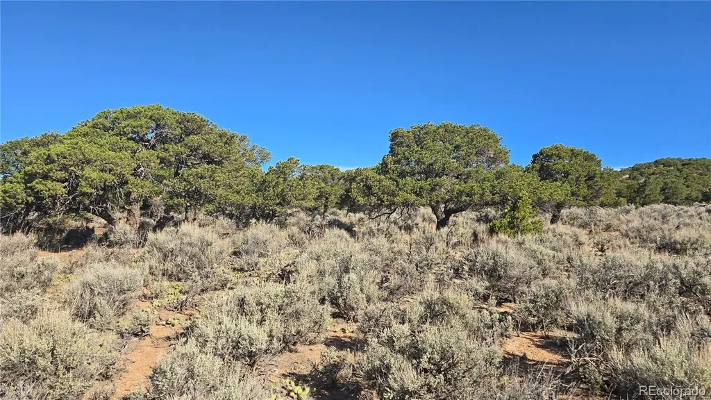 Lot 3873 Shinn Road Fort Garland CO 81133
