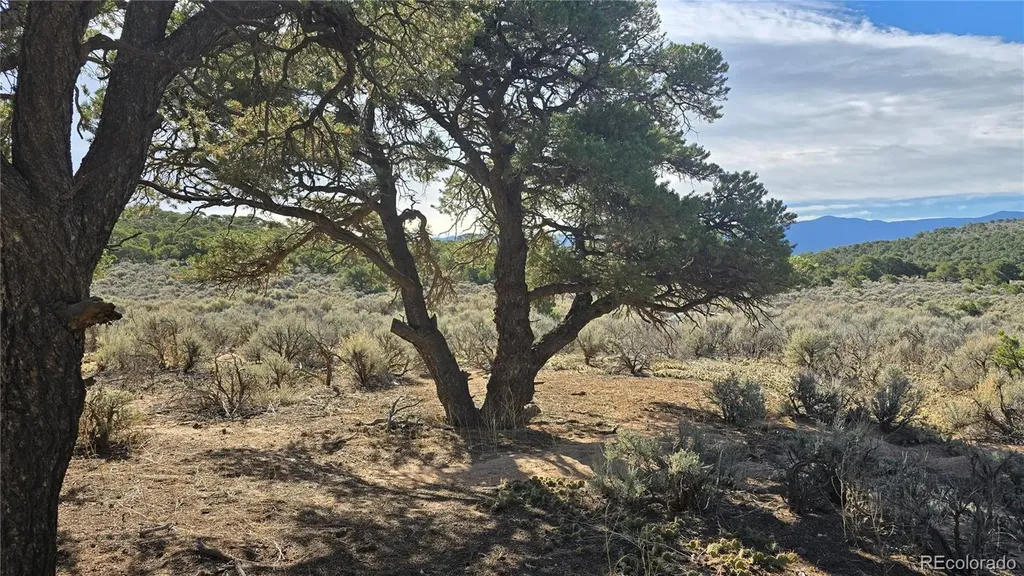 Lot 3873 Shinn Road Fort Garland CO 81133