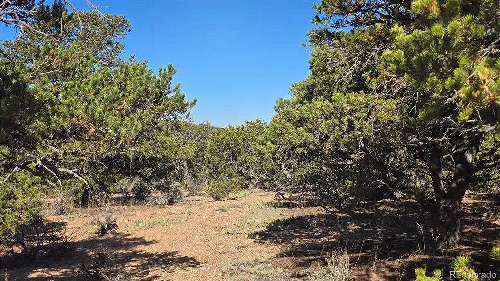 Lot 3873 Shinn Road Fort Garland CO 81133