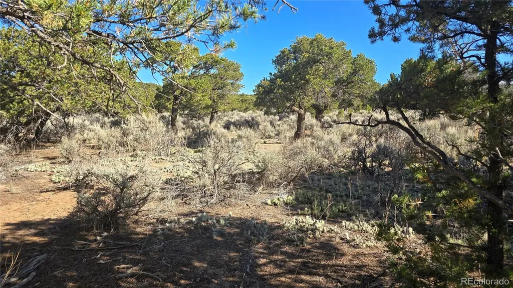 Lot 3873 Shinn Road Fort Garland CO 81133
