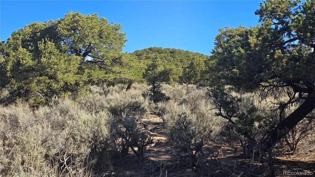 Lot 3873 Shinn Road Fort Garland CO 81133