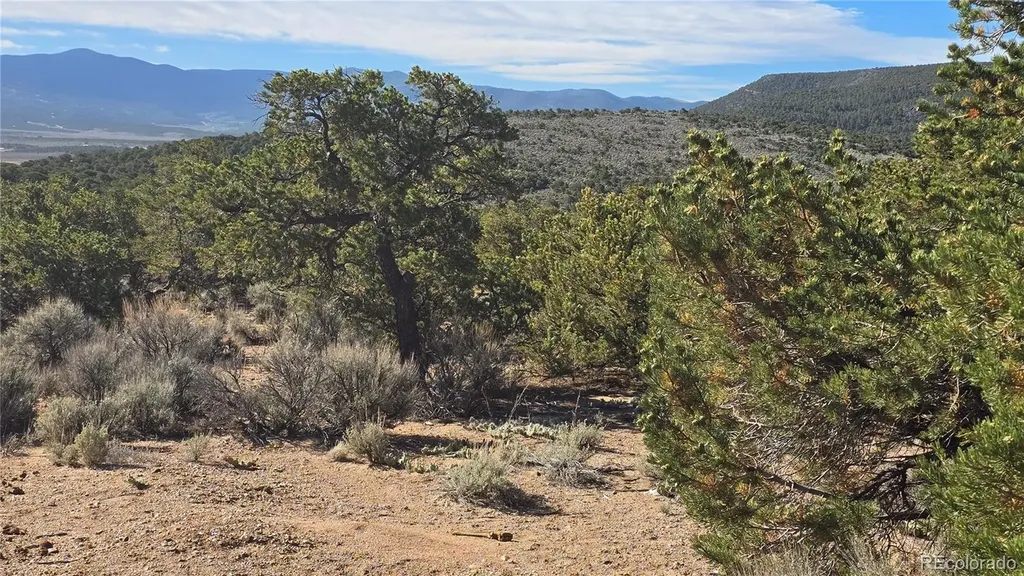 Lot 3873 Shinn Road Fort Garland CO 81133