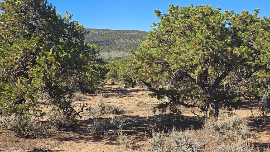 Lot 3873 Shinn Road Fort Garland CO 81133