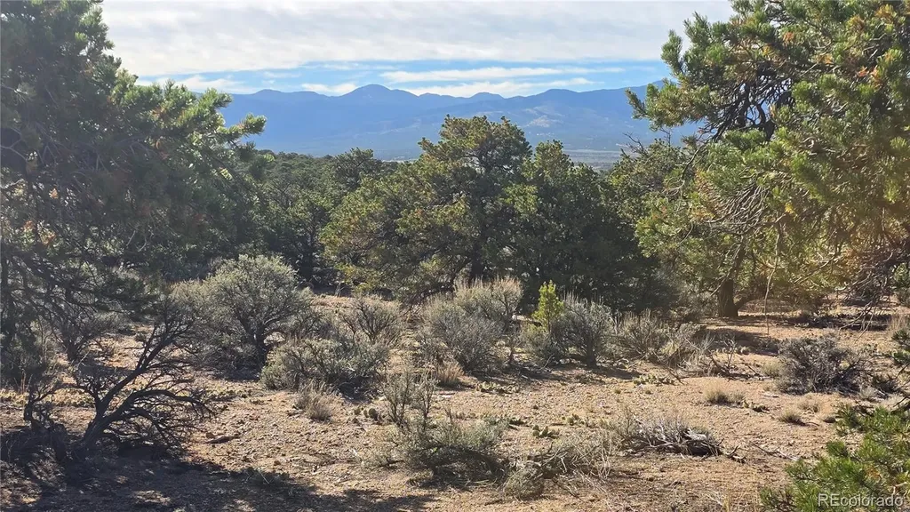 Lot 3873 Shinn Road Fort Garland CO 81133