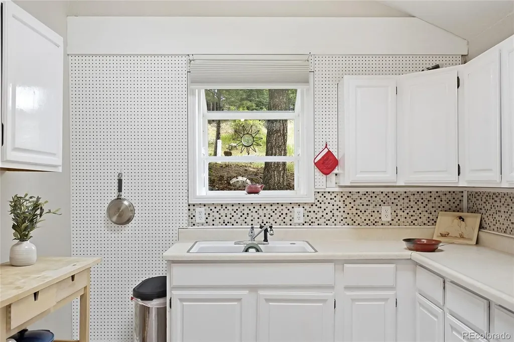 27083 Pine Drive Evergreen CO 80439