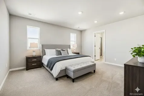 13749 Daffodil Point Parker CO 80134