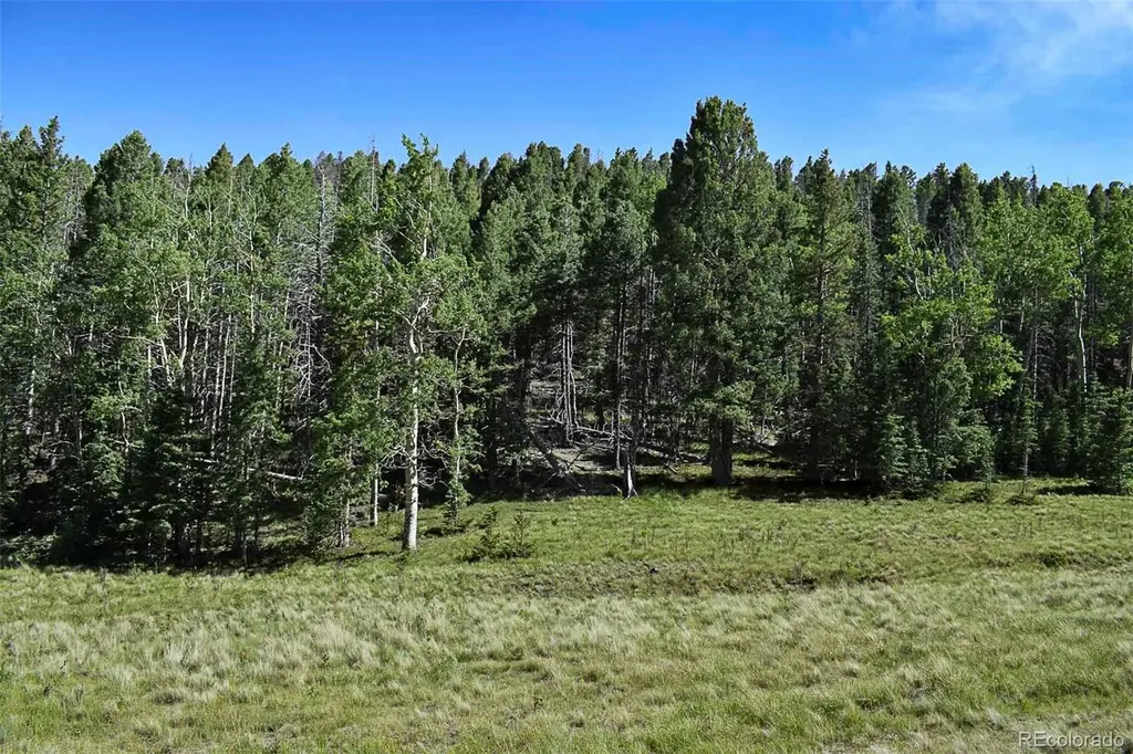 000 Bear Cat Road Guffey CO 80820
