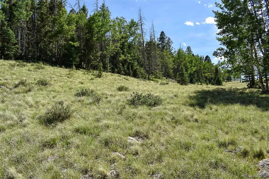 000 Bear Cat Road Guffey CO 80820