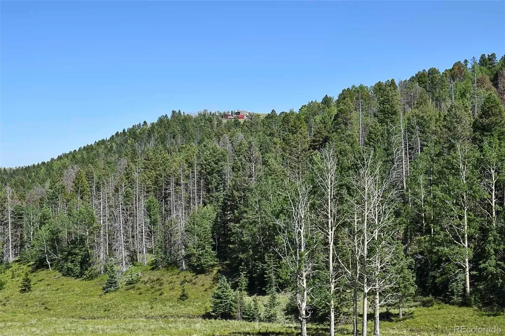 000 Bear Cat Road Guffey CO 80820