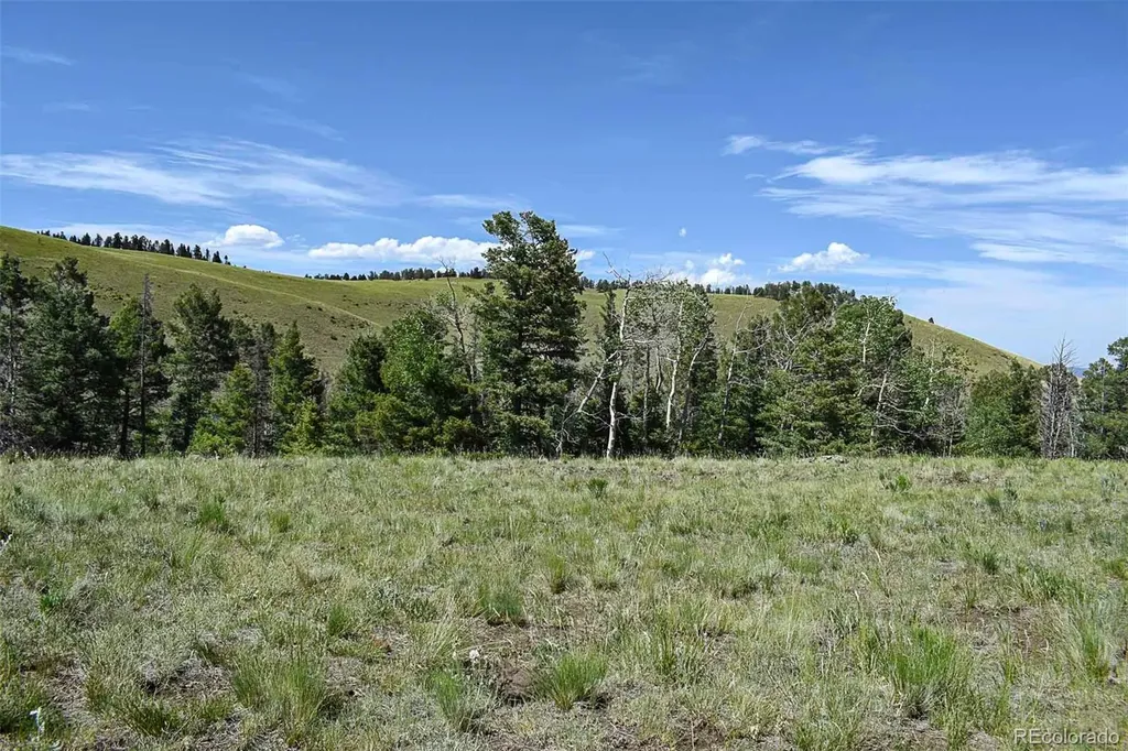 000 Bear Cat Road Guffey CO 80820