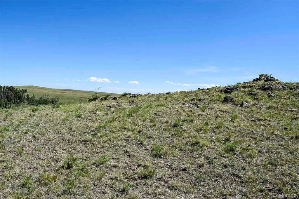 000 Bear Cat Road Guffey CO 80820