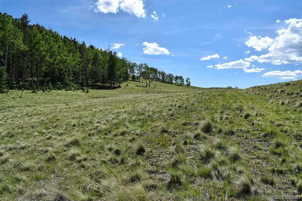 000 Bear Cat Road Guffey CO 80820