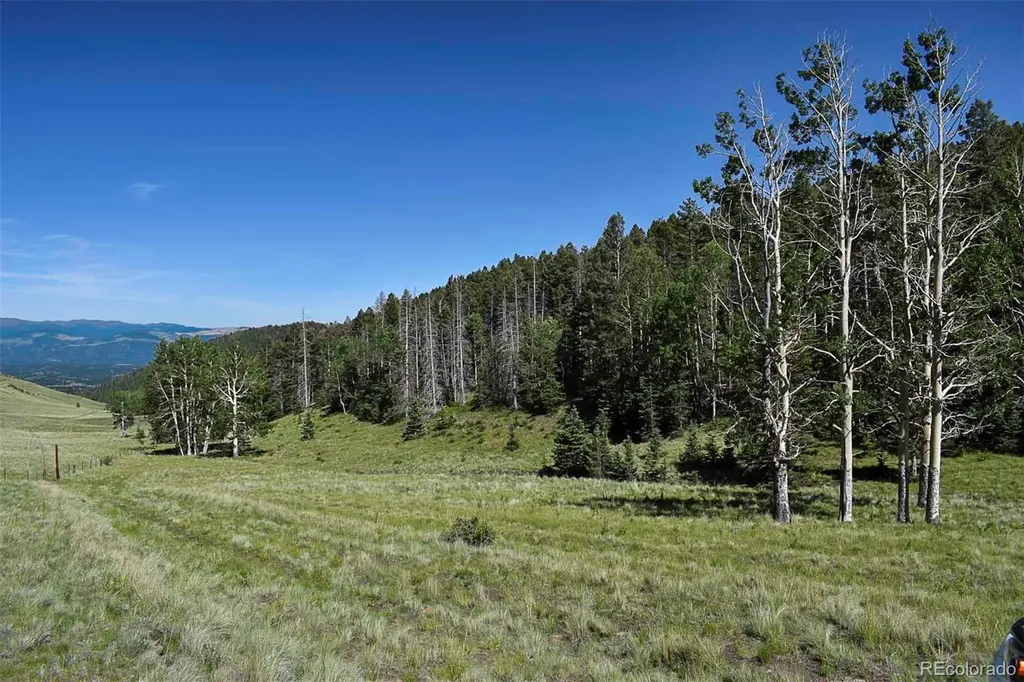 000 Bear Cat Road Guffey CO 80820