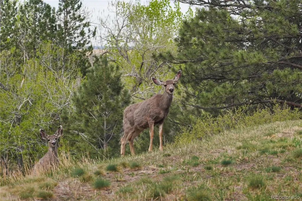 8664 Middle Fork Boulder CO 80302