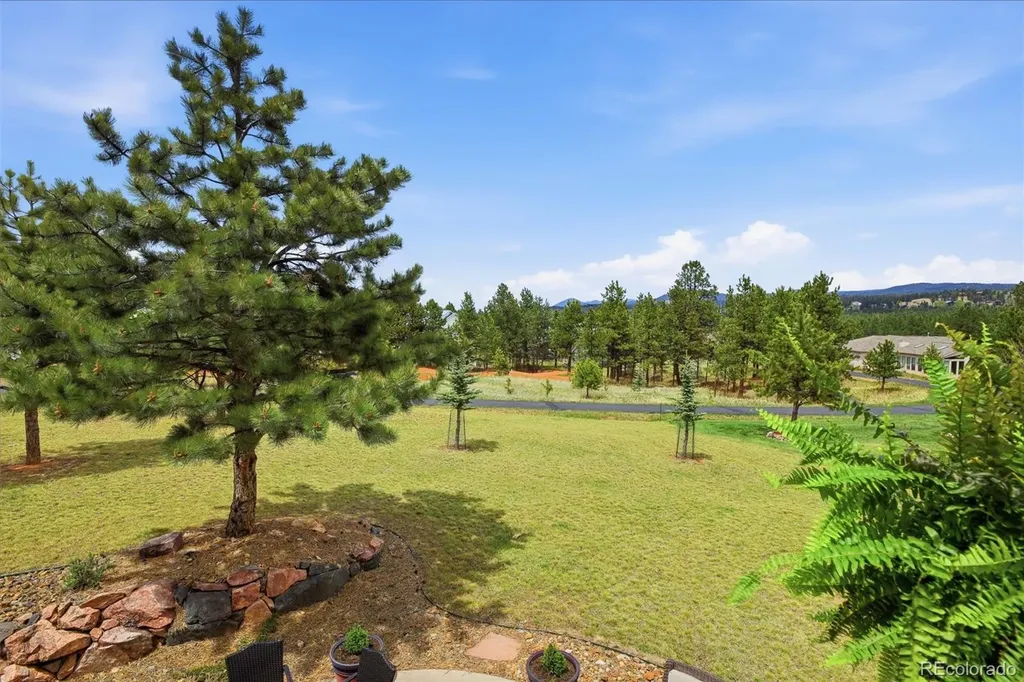 220 Eagle Pines Drive Woodland Park CO 80863