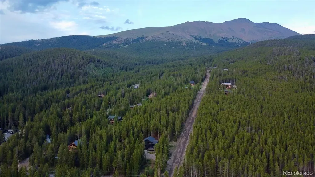 0064 Cr 534 Breckenridge CO 80424