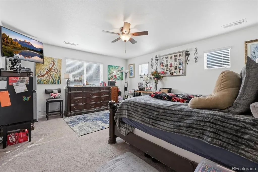 915 Mcmurdo Circle Castle Rock CO 80108
