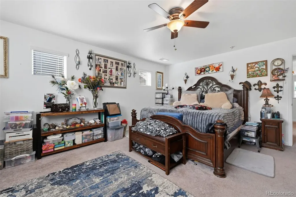 915 Mcmurdo Circle Castle Rock CO 80108