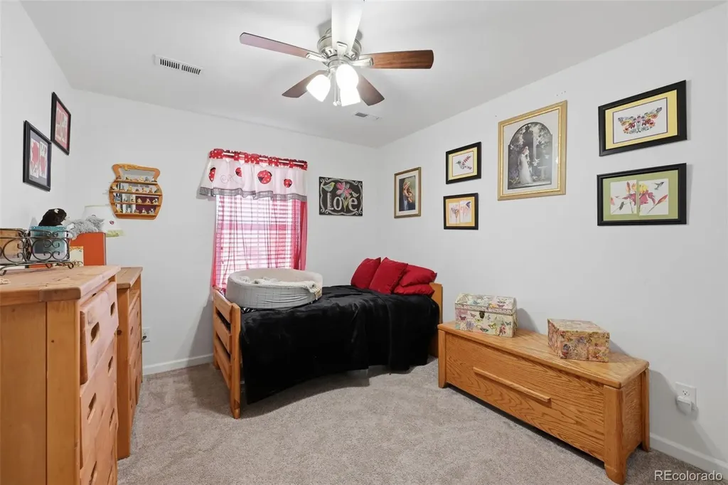 915 Mcmurdo Circle Castle Rock CO 80108