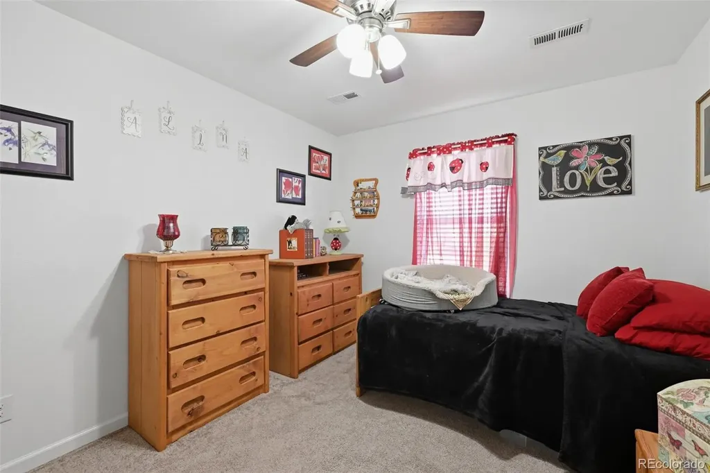 915 Mcmurdo Circle Castle Rock CO 80108