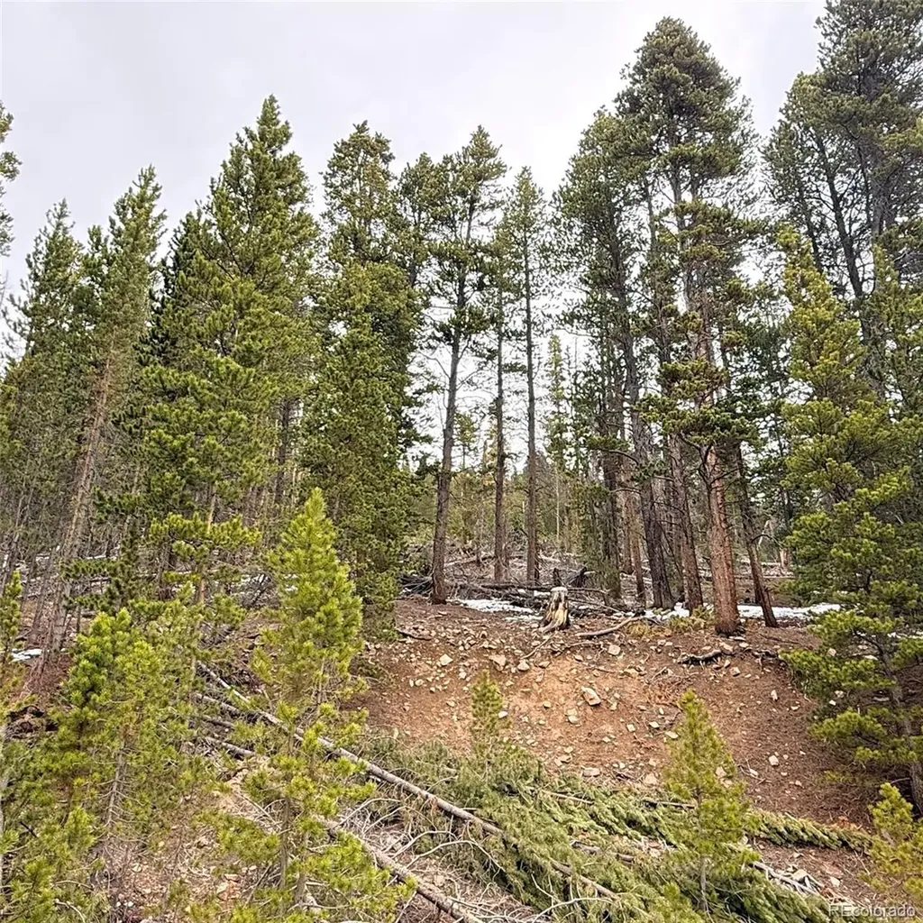 Lot 406 Glory Hole Road Idaho Springs CO 80452