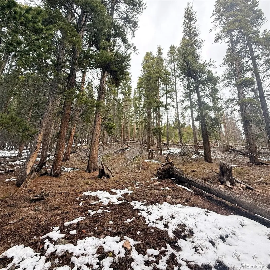 Lot 406 Glory Hole Road Idaho Springs CO 80452