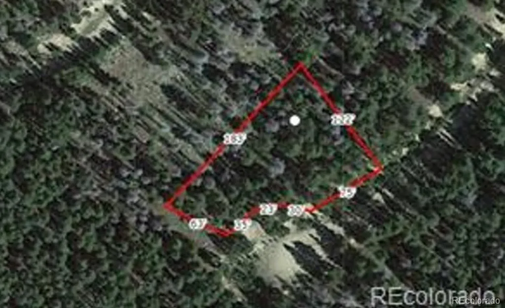 Lot 406 Glory Hole Road Idaho Springs CO 80452