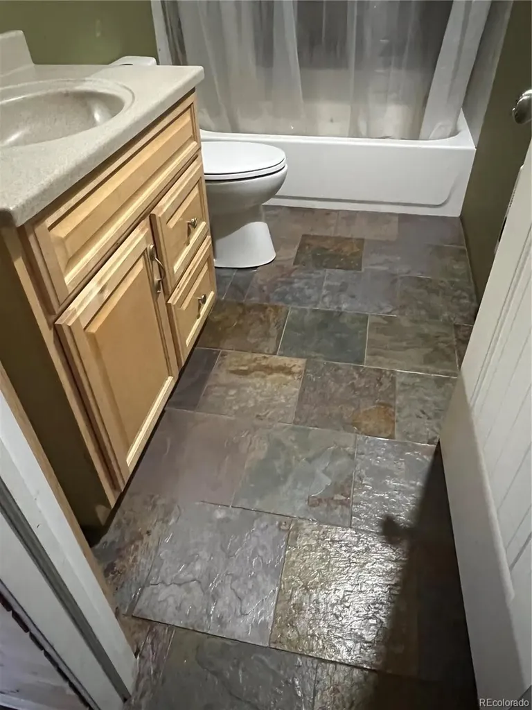 160 Birch Drive Twin Lakes CO 81251