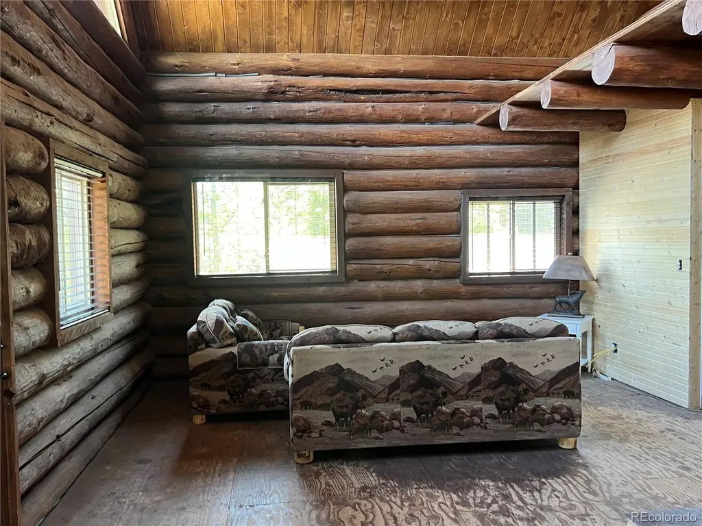 160 Birch Drive Twin Lakes CO 81251