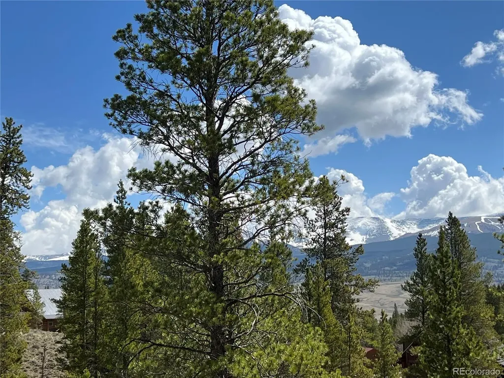 160 Birch Drive Twin Lakes CO 81251