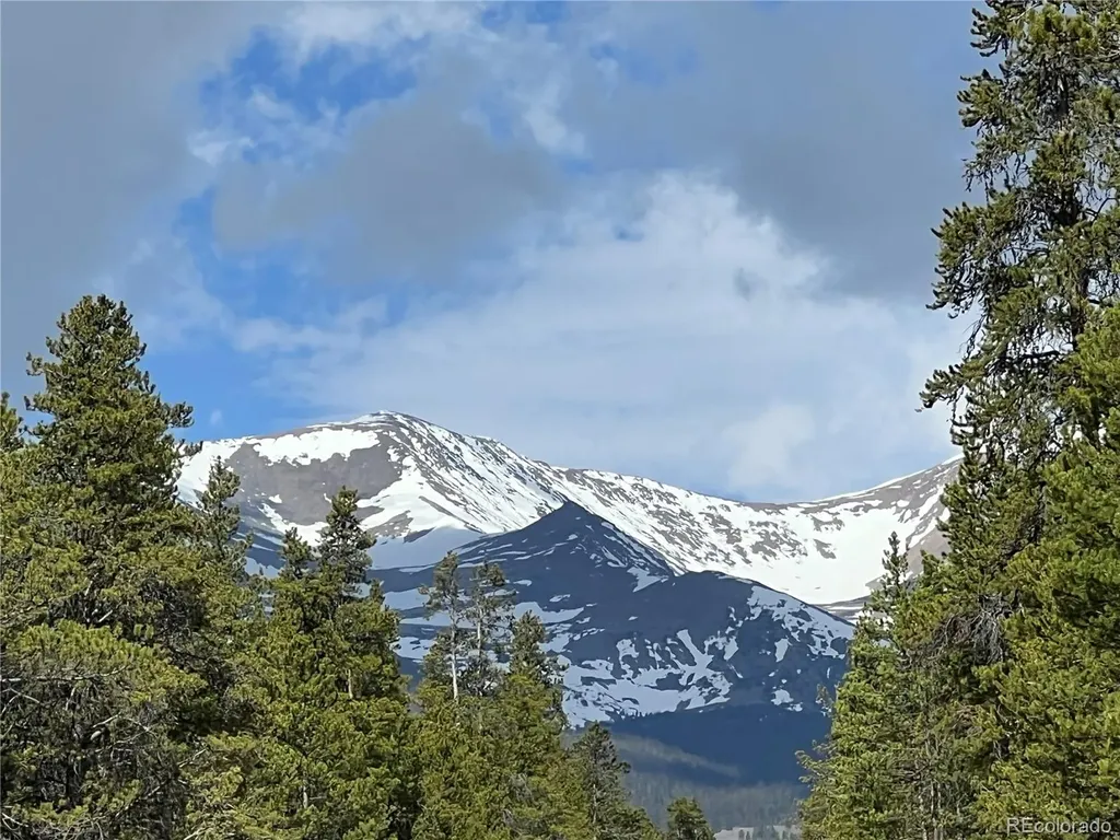 160 Birch Drive Twin Lakes CO 81251