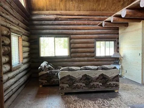 160 Birch Drive Twin Lakes CO 81251